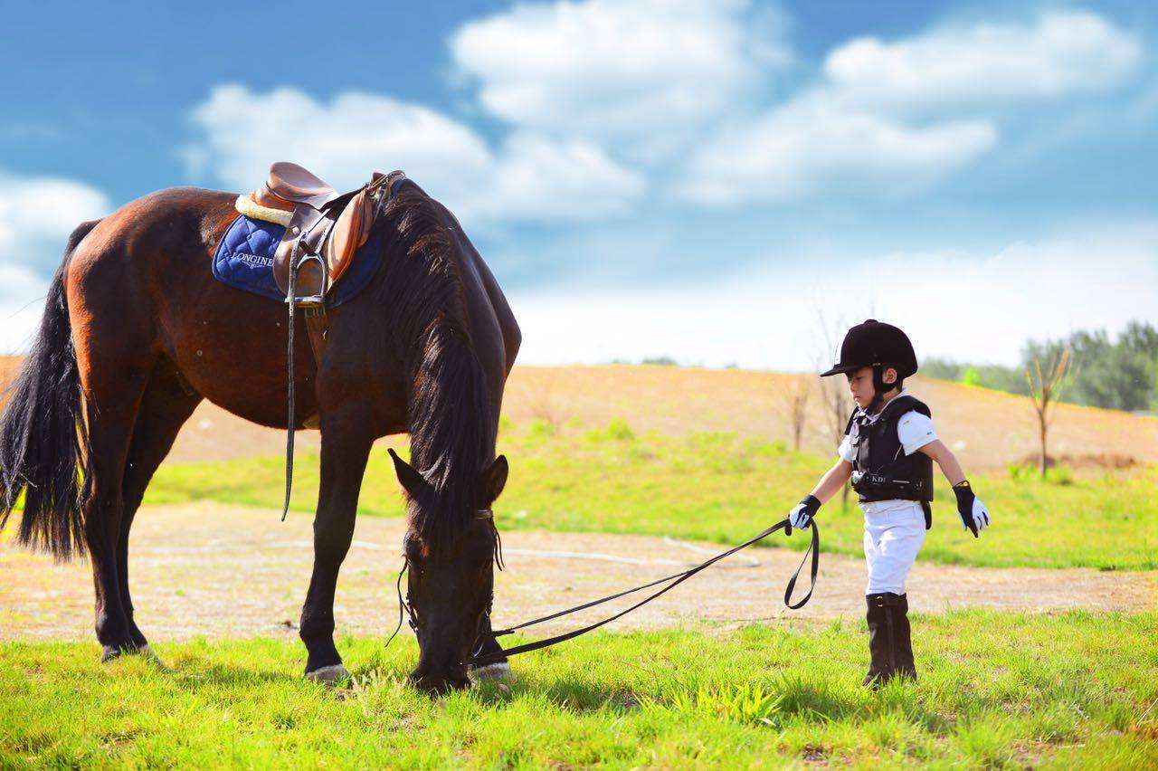 两匹年轻女人骑乘马 库存图片. 图片 包括有 马背, 女骑士, 农场, 运作, 女演员, 业余爱好, 休闲 - 138499625
