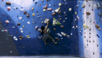 timg (2).gif