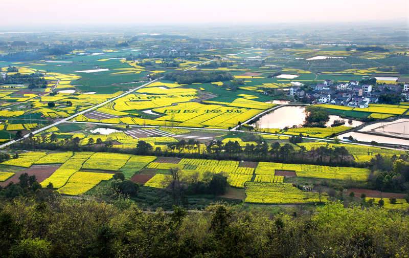 高淳国际慢城