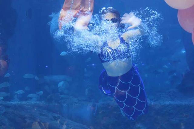 赣州极地海洋世界