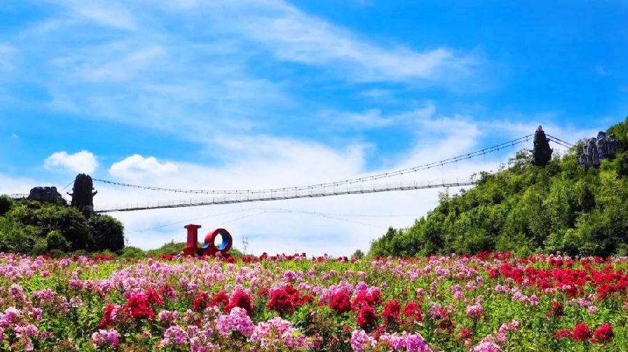 【百里杜鹃】 百里杜鹃风景名胜区(国家AAAAA级景区、国家生态旅游示范区)地处贵州省毕节地区大方县和黔西县交界处,素有天然花园、地球的彩带之美称。当你身处百里杜鹃的花海之中时,就可以体会到什么叫做人在画中游。 景区内有马缨杜鹃、树型杜鹃、狭叶马缨杜鹃、美容杜鹃、大白花杜鹃、露珠杜鹃、团花杜鹃、迷人杜鹃、银叶杜鹃、皱皮杜鹃、锈叶杜鹃、问客杜鹃、腺堮马银花、多花杜鹃、映山红、锦绣杜鹃、贵定杜鹃、暗绿杜鹃、映山红变种、落叶杜鹃、水红杜鹃、百合杜鹃、多头杜鹃41个品种,占世界5个亚属中的全部,花色多样