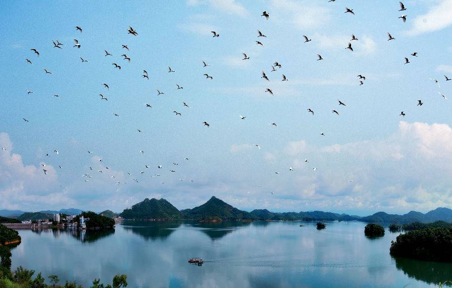 玉湖风景区