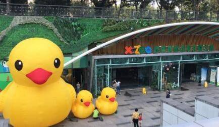 绿色星球海洋动物乐园