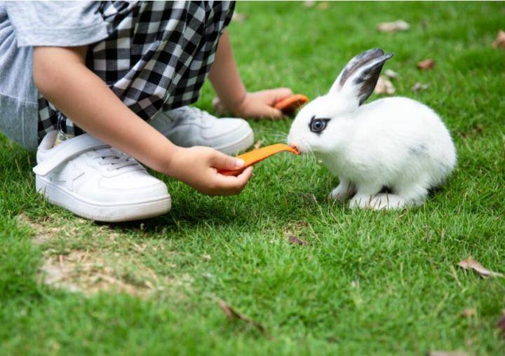 【广州·番禺】酷芽亲子庄园6张项目票，¥99=6张项目票+额外送2张项目票+饮用水1支！