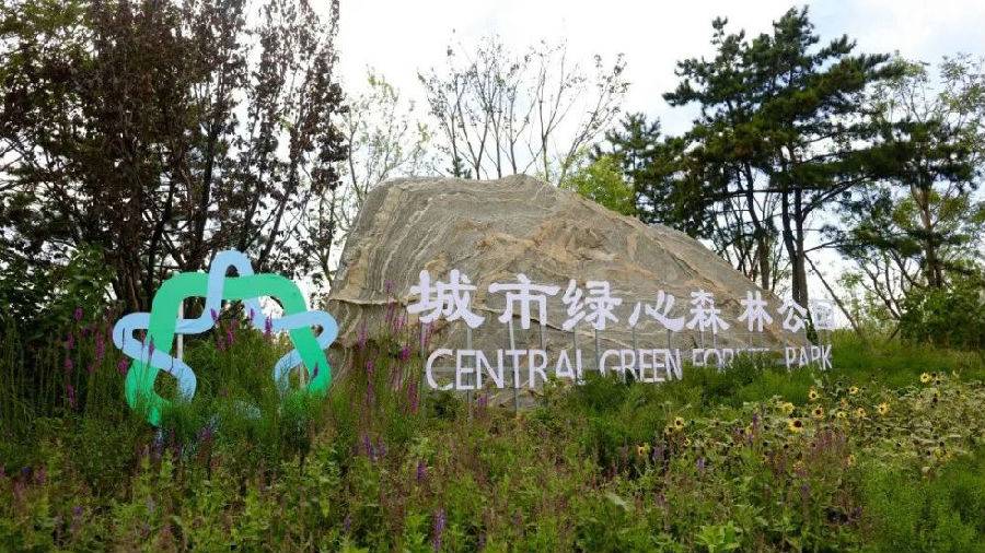 城市绿心森林公园