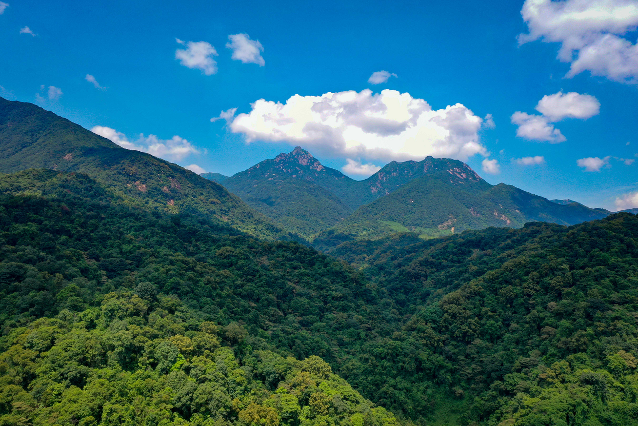 观音山静心谷