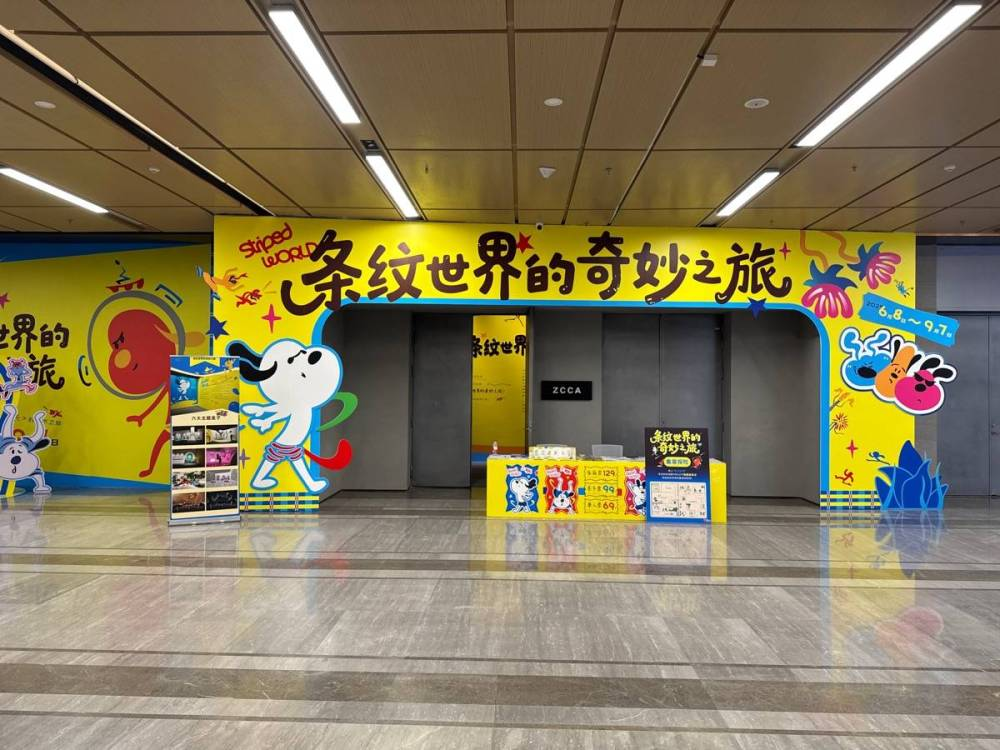 条纹世界的奇妙之旅