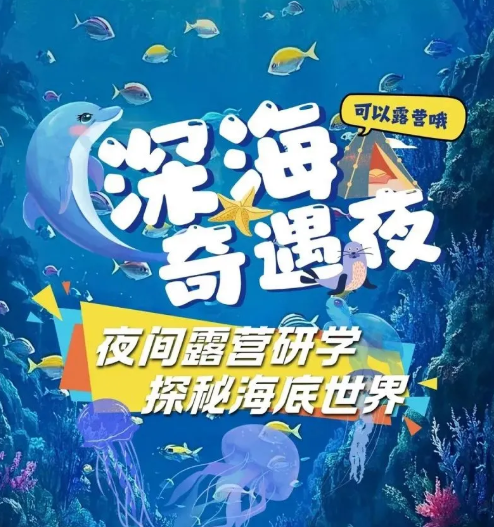 广州海洋馆夜宿