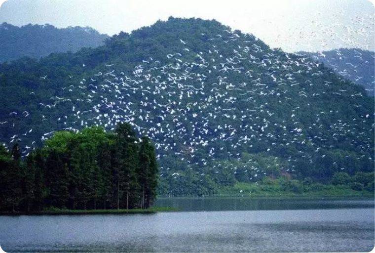 自由的微风拂过 1552964352860.jpg