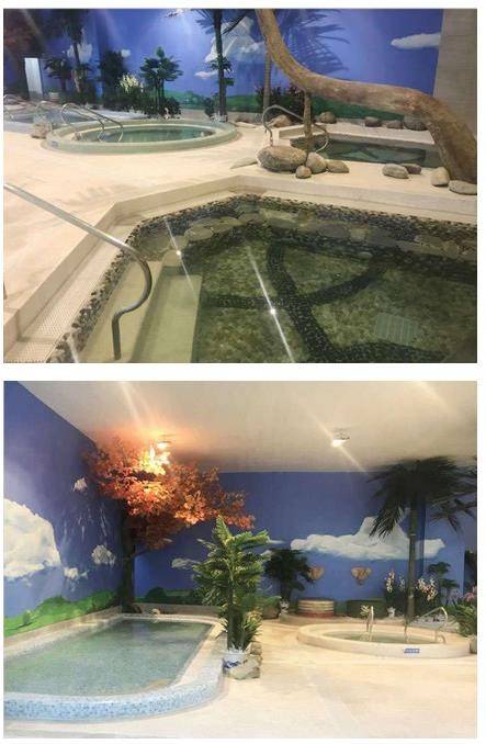 功能区域~专业游泳 水疗spa 室内温泉 水上游乐 纳米汗蒸 配套健身