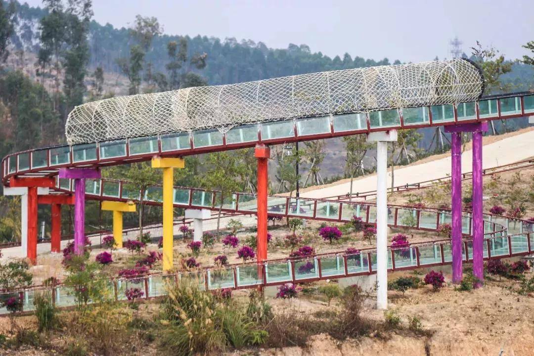 b套餐:廉江田园寨-大门票 玻璃桥(成人票)