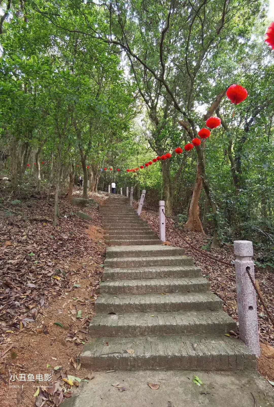 湛江廉江丨谢鞋山78元抢廉江谢鞋山风景区大门票玻璃栈道滑道成人票