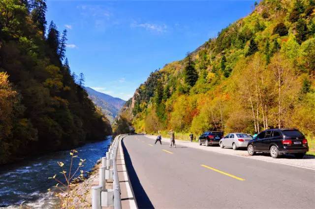 【四川阿坝州】萌萌哒大熊猫等着你~不买就亏