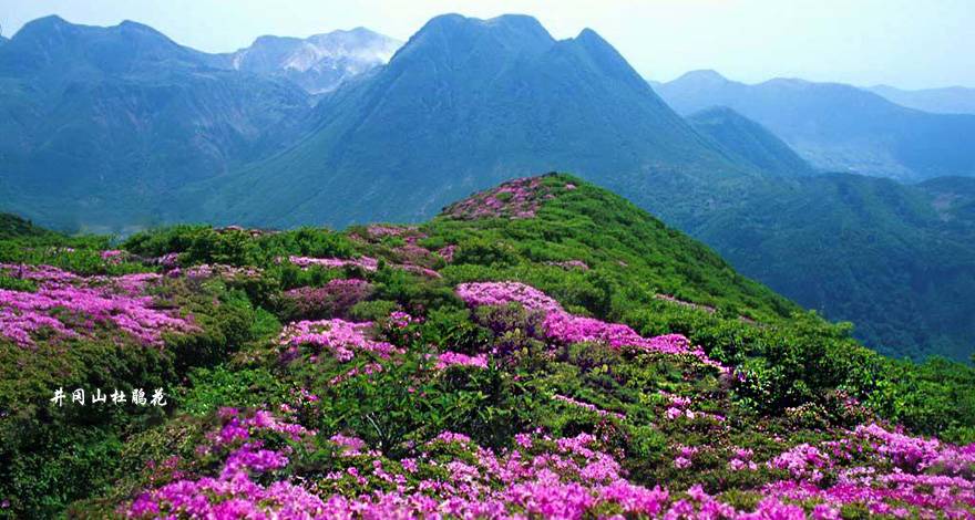 江西井冈山,杜鹃山高铁三天