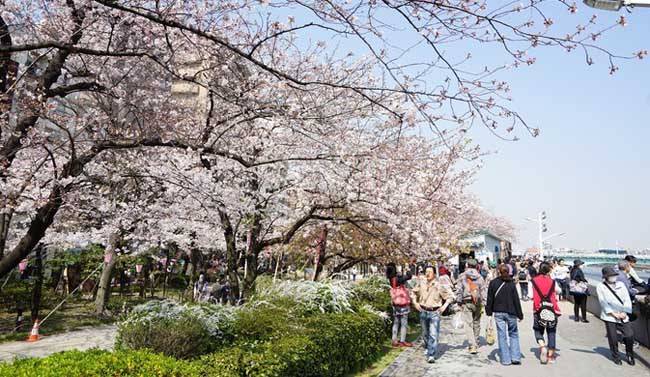 日本三年签证,工资10万元的条件,一般体现在工