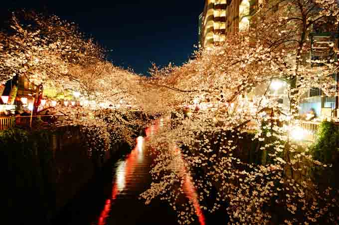 日本签证银行卡流水可以现存吗?