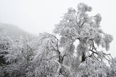 桂林三天游_广西桂林猫儿山雾凇 桂林三天游_广西桂林猫儿山