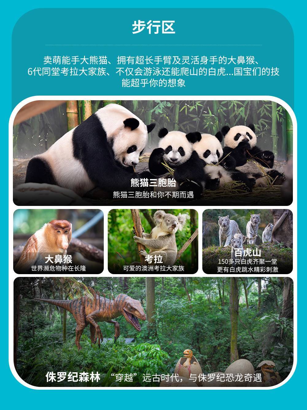 【买2送1】广州长隆野生动物世界特定日特惠三人票（12.31-2.28）