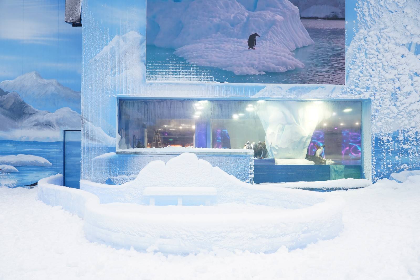 【3月限时特惠】广州正佳企鹅冰雪世界特惠亲子套票（有效期2023年03月03日-2023年03月31日）