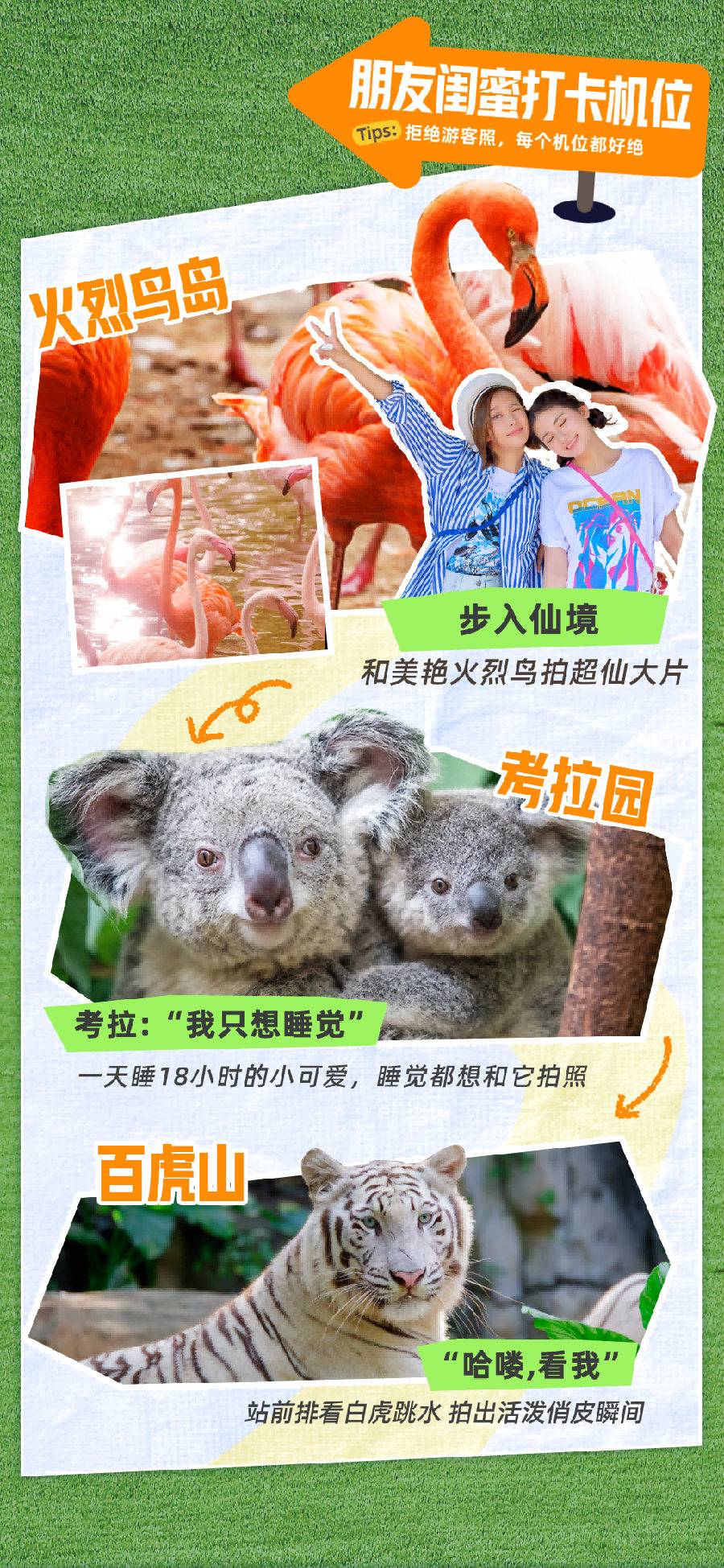 【早鸟特惠不退不改】广州长隆野生动物世界标准票（1.2-2.25）提前5天预订