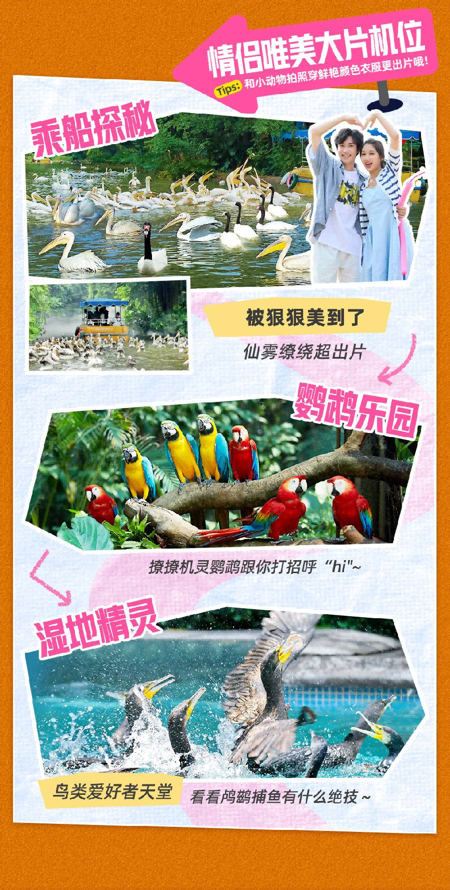 【2024下半年】广州长隆飞鸟乐园标准票(7.1-12.31）