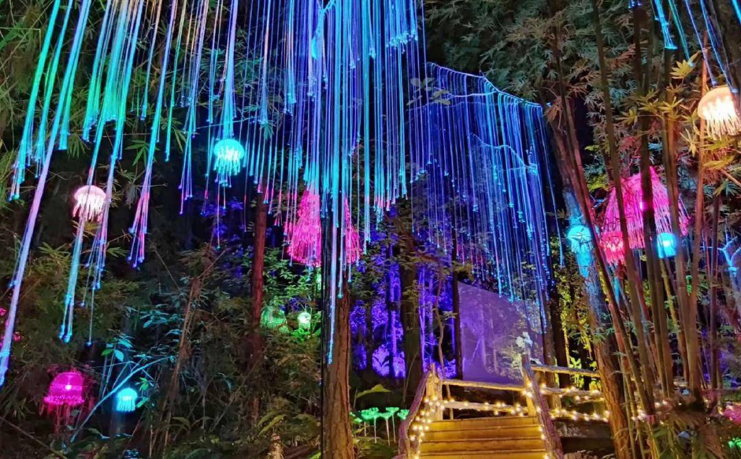 海沧天竺山森林光影艺术世界,灯光秀,天竺秘境,景区