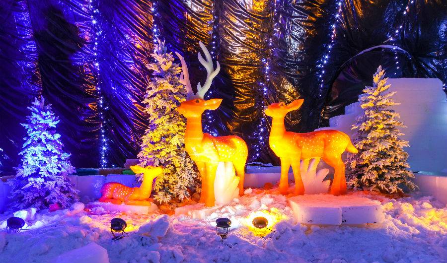 5566安西湖娱乐城- 西湖娱乐城官网- 西湖娱乐城APP卓网