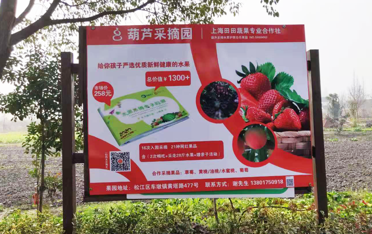 【上海】25.9元抢草莓2大1小家庭采摘套餐！“莓”好新年！从一场草莓采摘开始吧！还可以带走1斤哟~