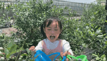 【上海蓝莓文化体验园】88元2大1小蓝莓畅吃！魔都这家网红蓝莓采摘地，蓝莓可以采摘畅吃，一步踏上水果鄙视链顶端，不来你就out了！！！