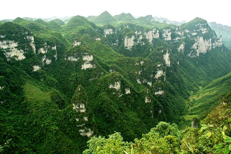 油杉河儿童票1张