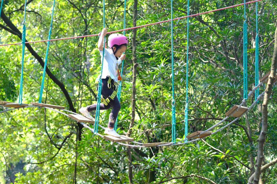 广州飞越丛林探险乐园周末节假日通用不加收299元抢单人票一张儿童