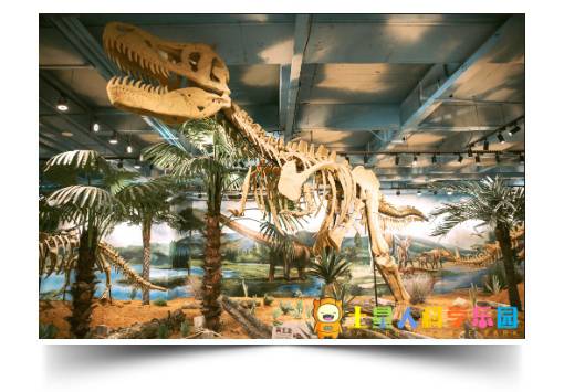 【暑期特惠】疯抢 ♥/广州土星人科学乐园/♥ ￥59=2人，4米高的史前恐龙、100多种互动项目、机动游戏，这个暑期不能缺席哦~