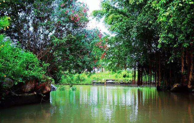 【东莞·全城热恋】首届粤晖园2019·带爱回