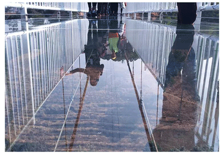 61952d1469b3519781afe3d75e2c69d3-sz_304007.gif