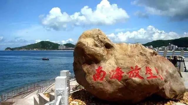 180度无敌海景房 3张100元海鲜餐厅现金券,带上家人来海陵岛保利度假