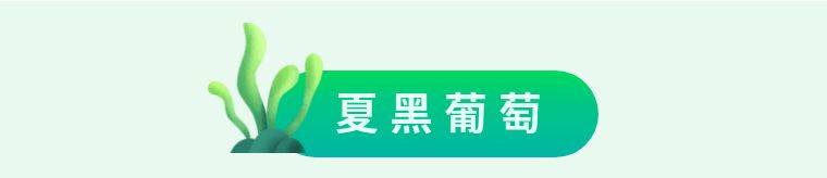 【葡萄成熟时】19.9元=1大1小增城金谷葡萄庄园门票+精品葡萄一份+试吃一份，又到一年盛夏时，穿越葡萄架，亲近大自然~