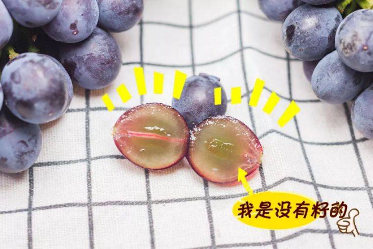【葡萄成熟时】19.9元=1大1小增城金谷葡萄庄园门票+精品葡萄一份+试吃一份，又到一年盛夏时，穿越葡萄架，亲近大自然~