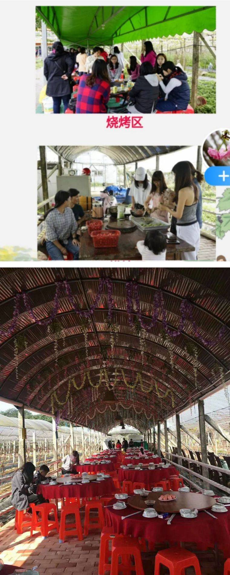 【葡萄成熟时】19.9元=1大1小增城金谷葡萄庄园门票+精品葡萄一份+试吃一份，又到一年盛夏时，穿越葡萄架，亲近大自然~