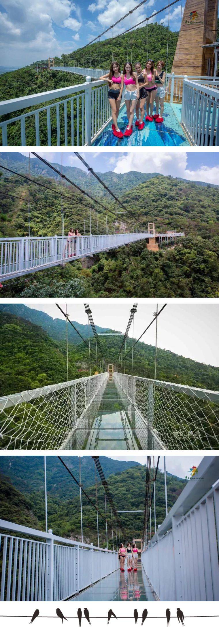 住【紫薇山居】夜数繁星,参观娃娃鱼养殖基地,野天崮山玻璃滑道