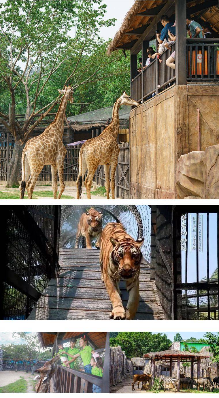 颠覆传统的动物园观赏模式 数百种野生动物, 零距离接触!
