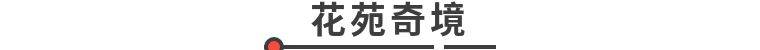 广州融创乐园·女神双人欢乐套票（购买限制：其中一名使用者需为女性）