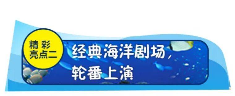 【东莞.门票】东莞海立方超10000㎡的海洋公园,¥30元秒抢海立方环游城·圣诞活动成人票(下午场票)!即买即用,探秘海底隧道:鲨鱼、电鳗、鳄鱼等!欣赏美人鱼表演、海狮剧场...平日周末通用!(售卖时间至:2020.12.31)