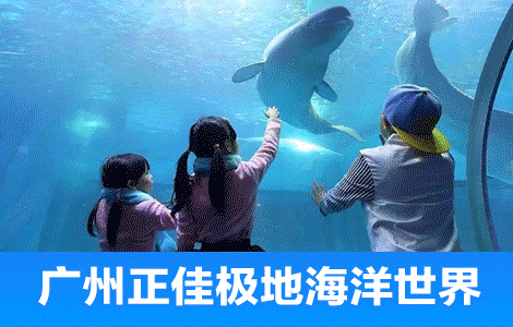 【常规】广州正佳极地海洋世界+雨林馆双馆日场单人联票（售完即止）