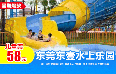 【暑期嬉水狂欢】夏日畅玩30000㎡水上乐园！￥58抢东莞东壹水上乐园「儿童通玩票」清凉嗨玩亲子水寨、大喇叭滑梯、冲浪池等N多游乐项目....有效期至10月7日