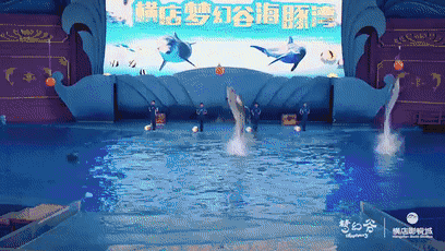 【浙江】限量1000张！99元抢横店影视城梦幻谷水世界+陆公园联票，还有明星的见面会哦~