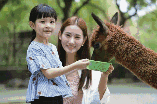 【系统补单专用】上海野生动物园门票（2020特惠）