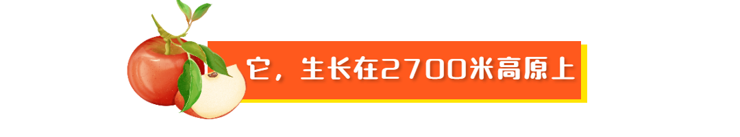 【全国包邮】现摘现发！『大凉山糖心丑苹果』清新上市！29.9元=净重5斤，39.9元=净重9斤；嘎嘣清爽，甜进心里！