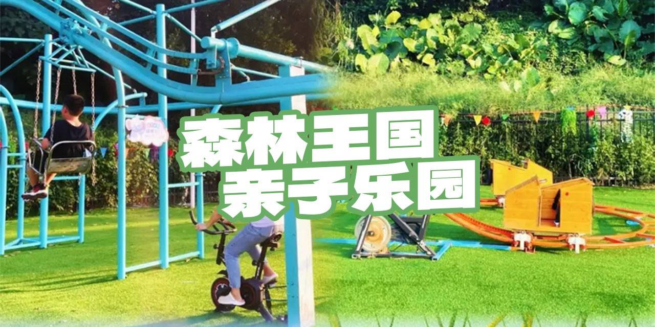【龙岗龙城·亲子】占地超10000平的户外亲子乐园！一票畅玩！38元起抢『森林王国亲子乐园』单人畅玩票、双人畅玩票、三人畅玩票：网红蹦蹦云、水上乐园、双道滑索...N种无动力项目超过瘾！