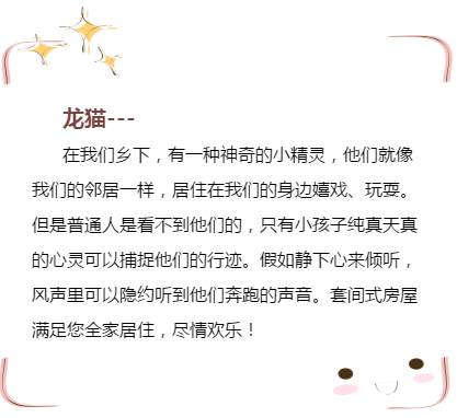 龙猫.png