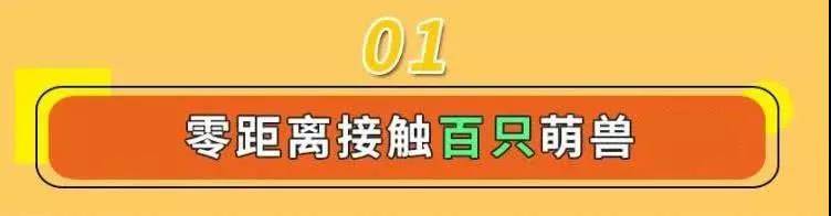 【129元】广州融创乐园龙生肖专属欢乐套期票（1.23-3.8）提前1天预订